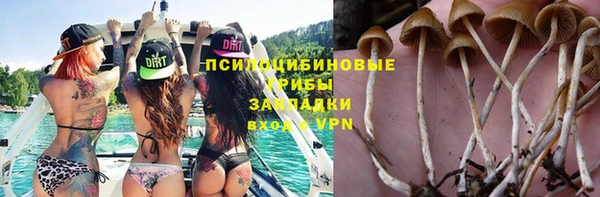 шишки Кинешма