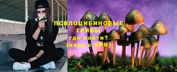 ПСИЛОЦИБИНОВЫЕ ГРИБЫ Кодинск