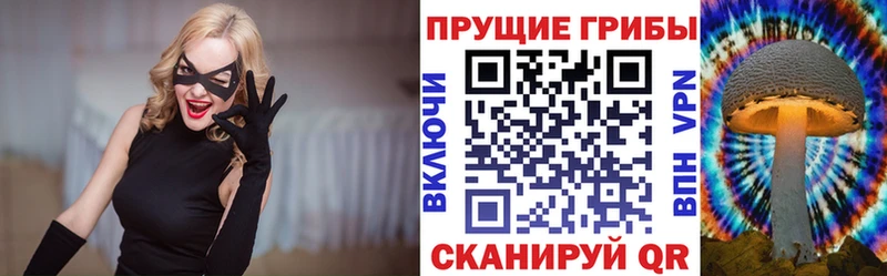 Купить  Задонск  Галлюциногенные грибы Cubensis 